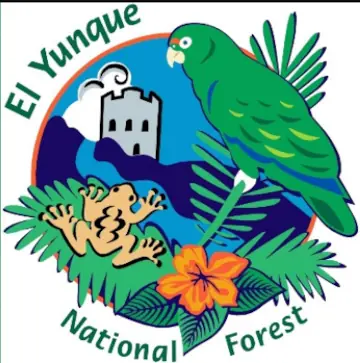 El Yunque National Forest Puerto Rico Cartoon Coqui And Parrot
